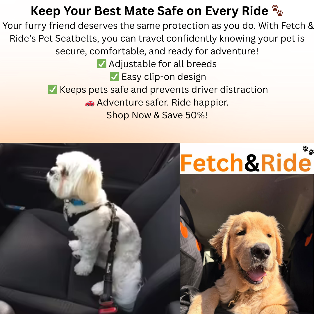 Dog Safety Belt