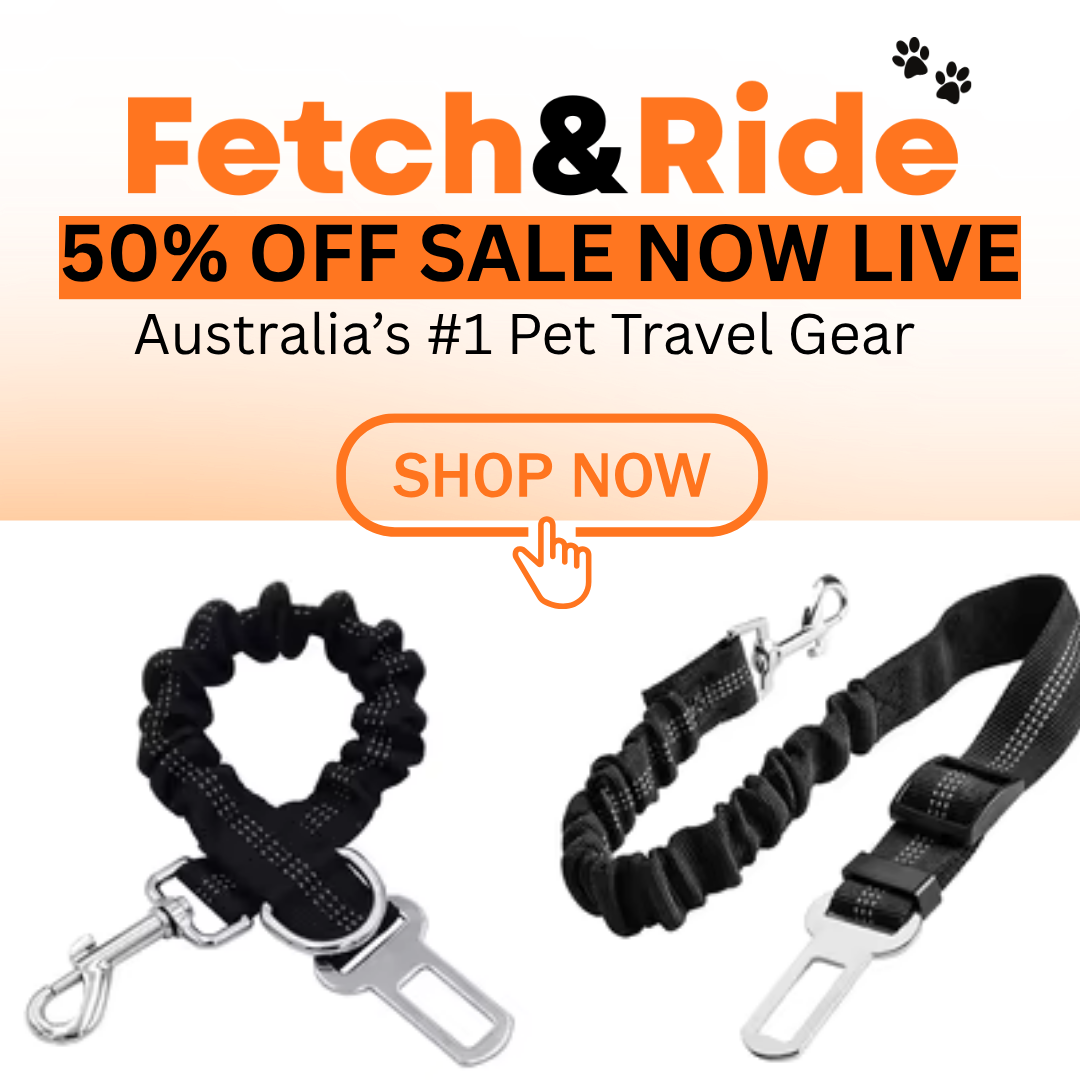 Dog Safety Belt