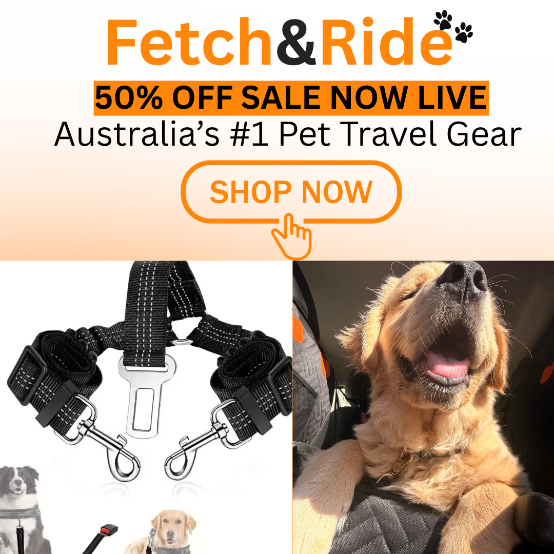 Double Safety Belt