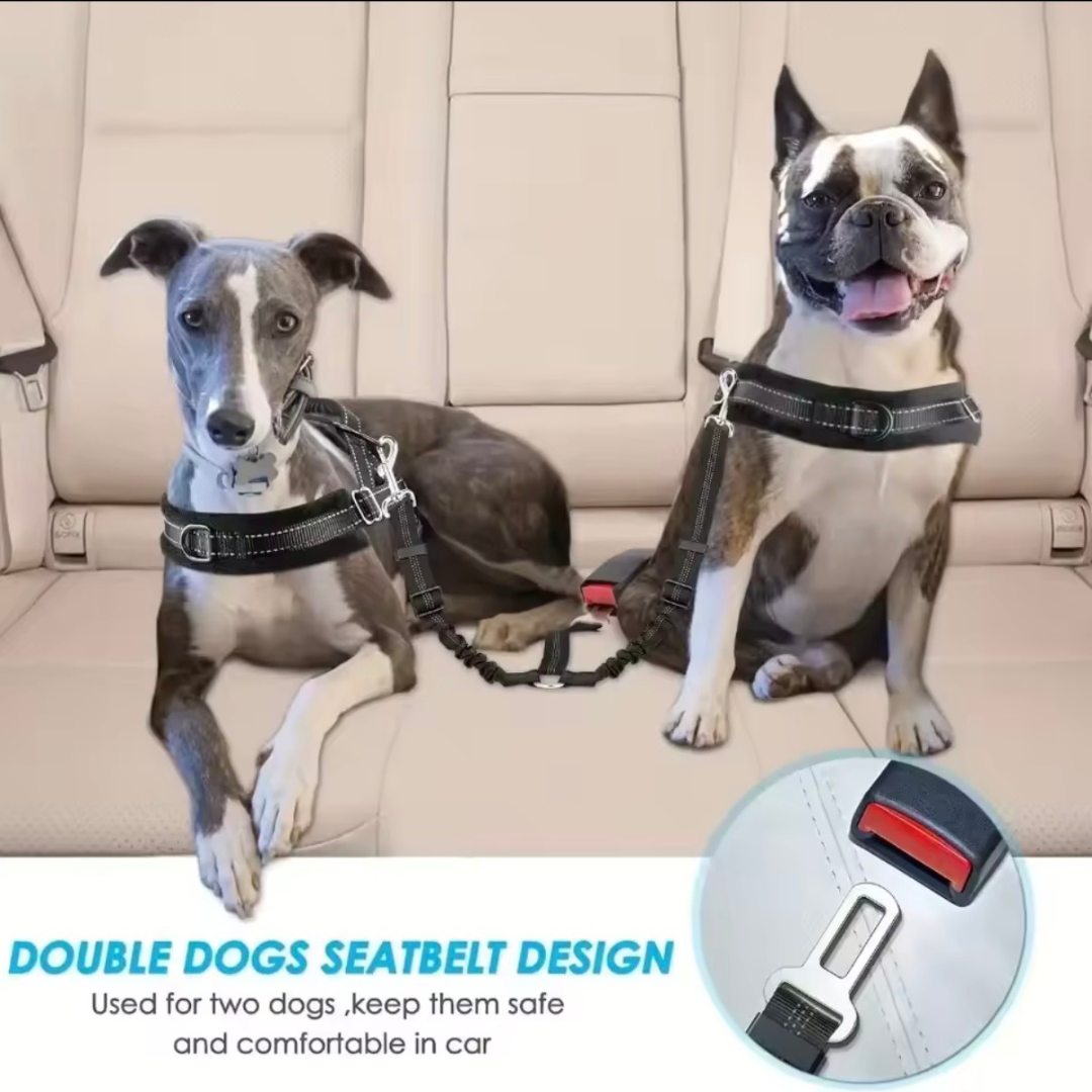 Double Safety Belt