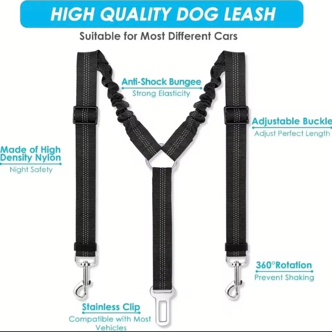 Double Safety Belt