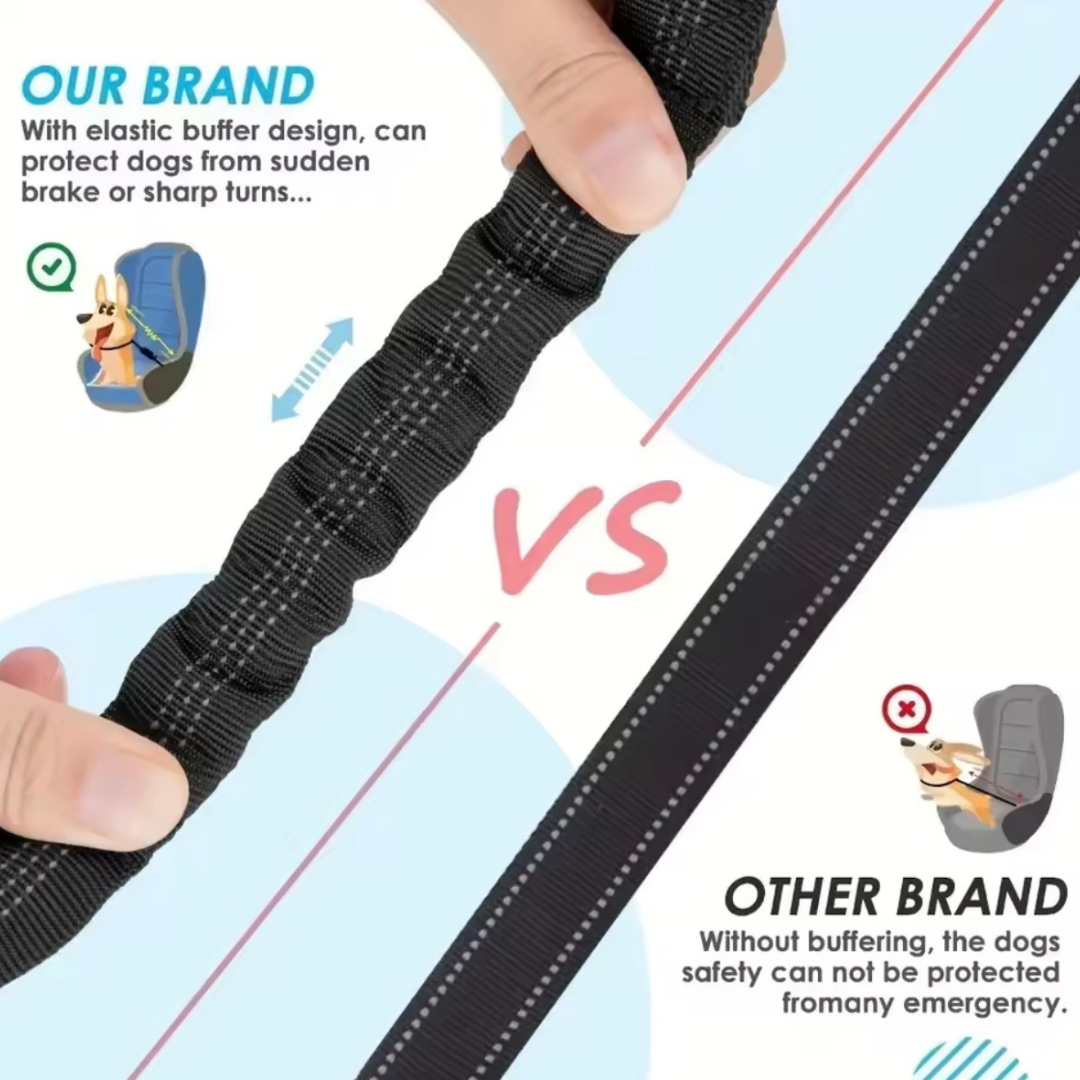 Double Safety Belt
