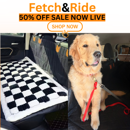 Travel Dog Bed