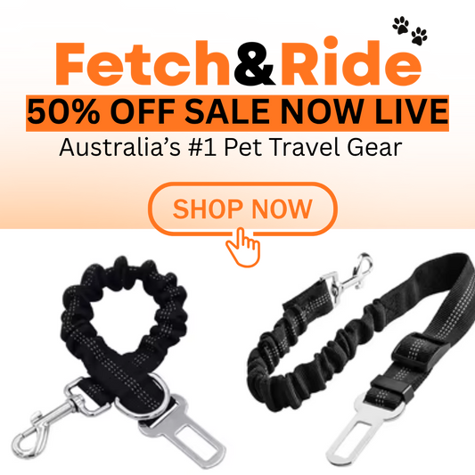 Dog Safety Belt