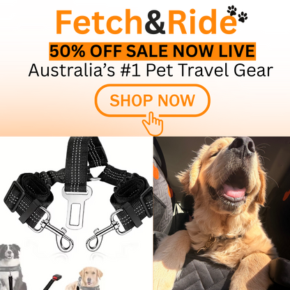 Double  Safety Belt