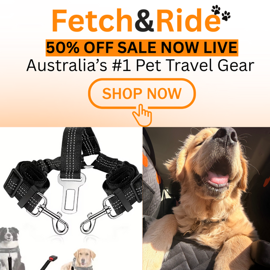 Double  Safety Belt
